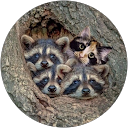 David Clements profile picture